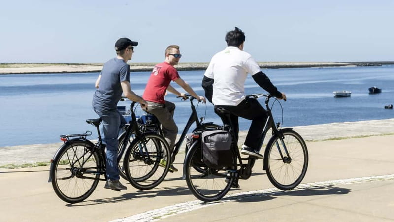 Porto Private E-Bike Tour: Douro River, Parks & Beaches - Key Points
