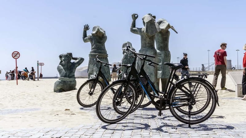 Porto Private E-Bike Tour: Douro River, Parks & Beaches - Flexibility and Cancellation Policy