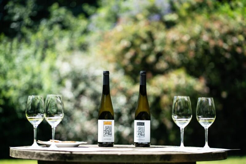 Porto: Private Green Wine Tour: Visit 2 Wine Estates & Lunch - Traditional Minho Regional Lunch and Wine Pairing