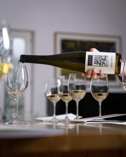 Porto: Private Green Wine Tour: Visit 2 Wine Estates & Lunch - Comparing the Two Vinho Verde Estates