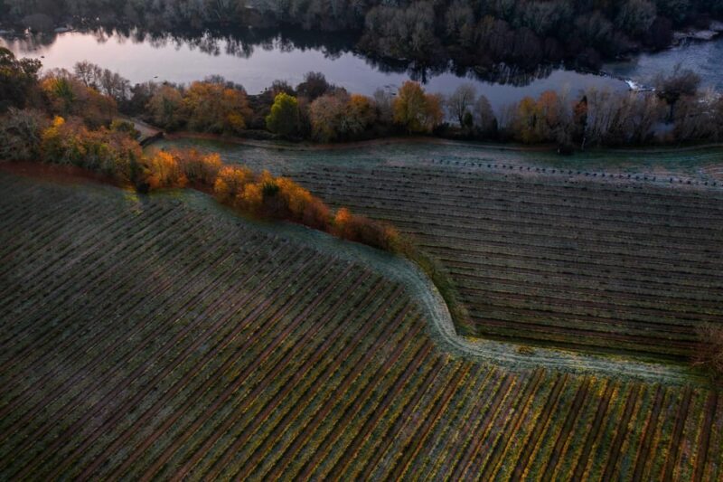 Porto: Private Green Wine Tour: Visit 2 Wine Estates & Lunch - Discovering the Historic and Scenic Highlights of Valença