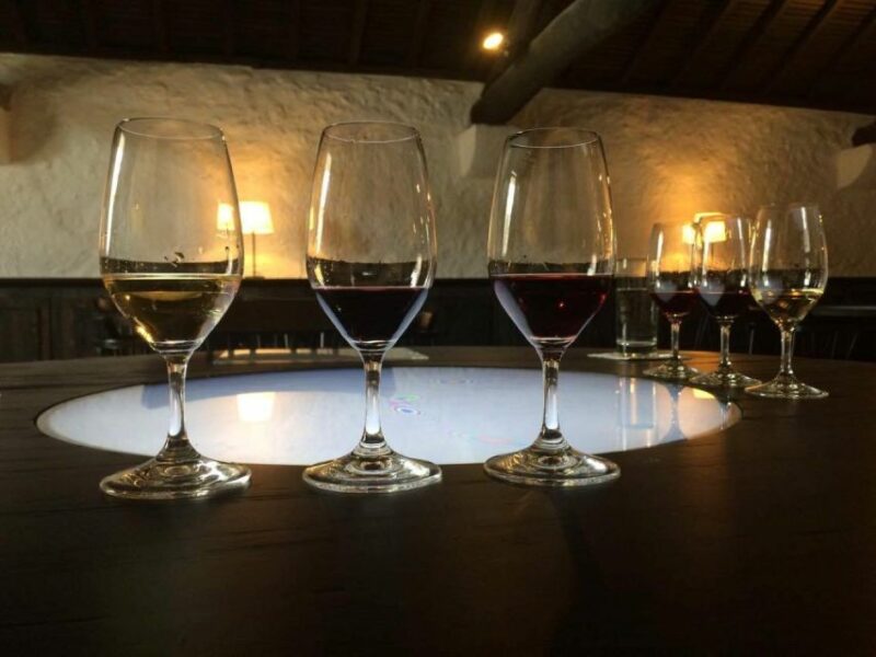 Porto: Private Guided Wine-Tasting Tour - Discovering Porto’s Hidden Streets and Local Vibes
