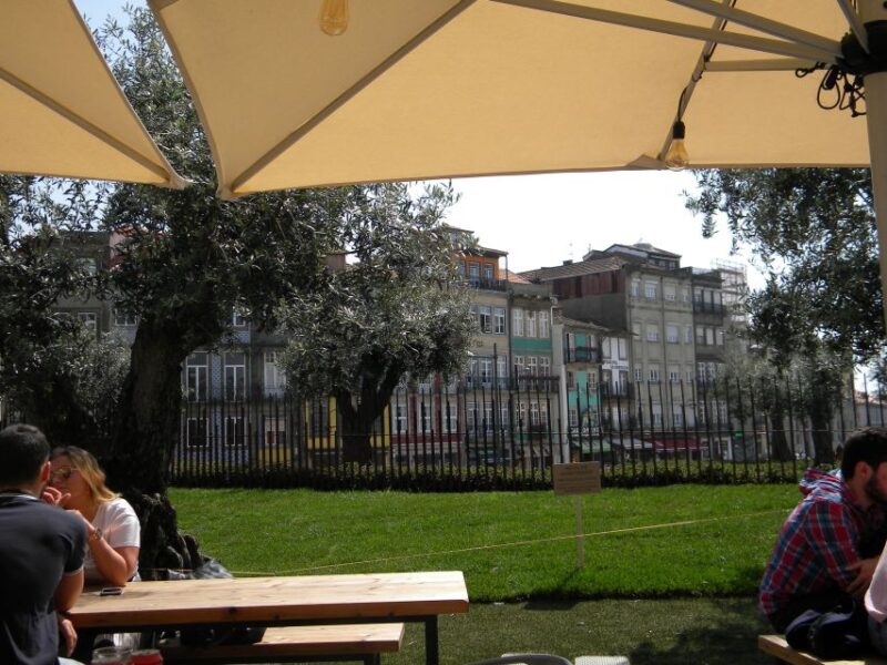Porto: Private Half-Day as a Local Experience - Practical Details and Accessibility