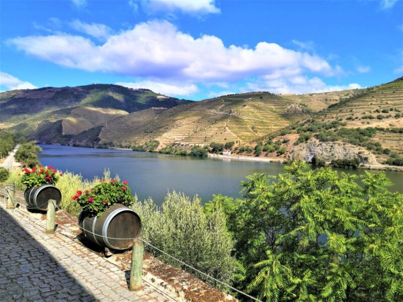 Porto: Private Tour Douro Valley/Winery SECXVIII /Boat/Lunch - Relaxing Private Boat Cruise on the Douro River