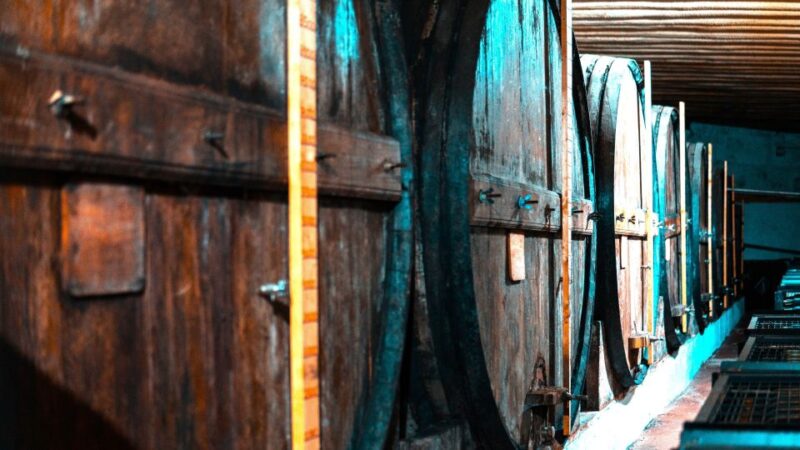 Porto: Private Tour Douro Valley/Winery SECXVIII /Boat/Lunch - Return Journey and Drop-Off in Porto