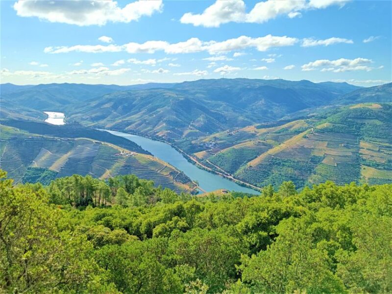 Porto: Private Tour Douro Valley/Winery SECXVIII /Boat/Lunch - What Sets This Tour Apart from Similar Experiences