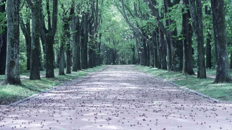 Porto Private Tour: History, Views & Culture Stops - Porto Private Tour: A Personalized Port of Call