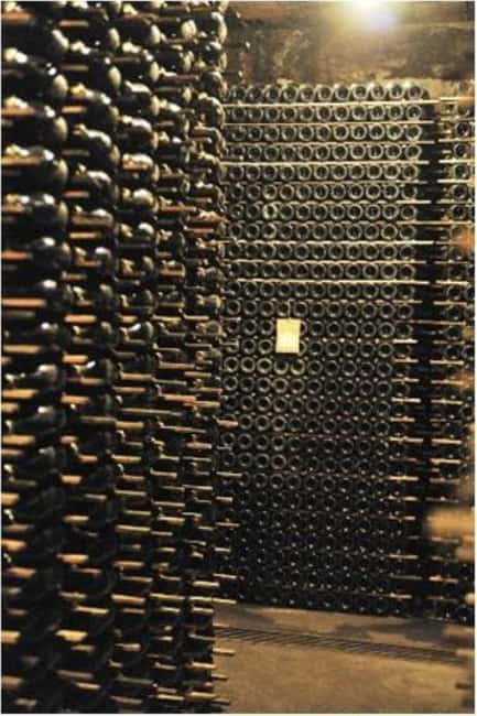 Porto: Private tour in Bairrada - From wine to suckling pig with tradition. - Key Points