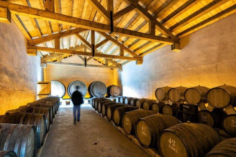 Porto: Private tour in Bairrada - From wine to suckling pig with tradition. - Visiting Bairrada’s Top Wineries and Cellars