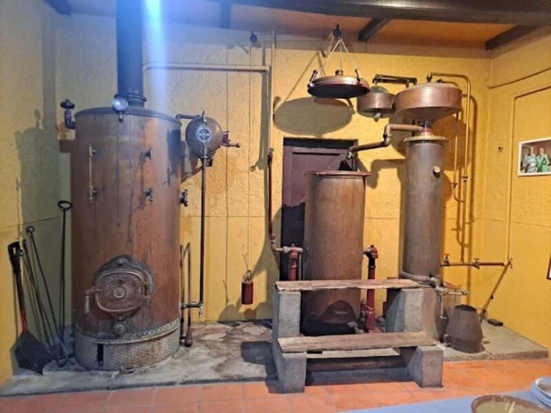 Porto: Private tour in Bairrada - From wine to suckling pig with tradition. - Visiting the Region’s Historic Cellars and Tasting the Best