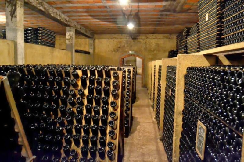 Porto: Private tour in Bairrada - From wine to suckling pig with tradition. - Return Journey and Drop-Off Locations