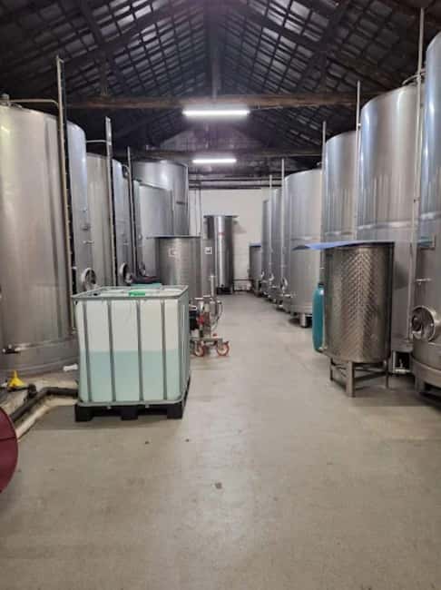 Porto: Private tour in Bairrada - From wine to suckling pig with tradition. - Special Features of This Tour