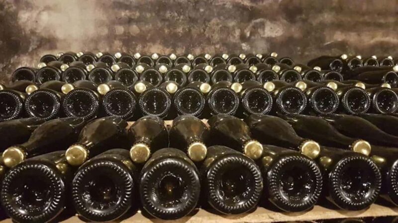 Porto: Private tour in Bairrada - From wine to suckling pig with tradition. - Who Will Appreciate This Tour Most?