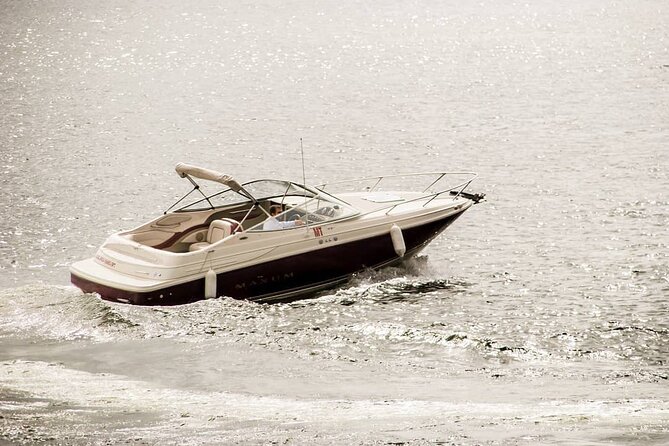 Porto: Private Tour to D. Luís Bridge (1h), group price up to 6px - Exploring Ponte da Arrábida: The 1963 Reinforced Concrete Arch