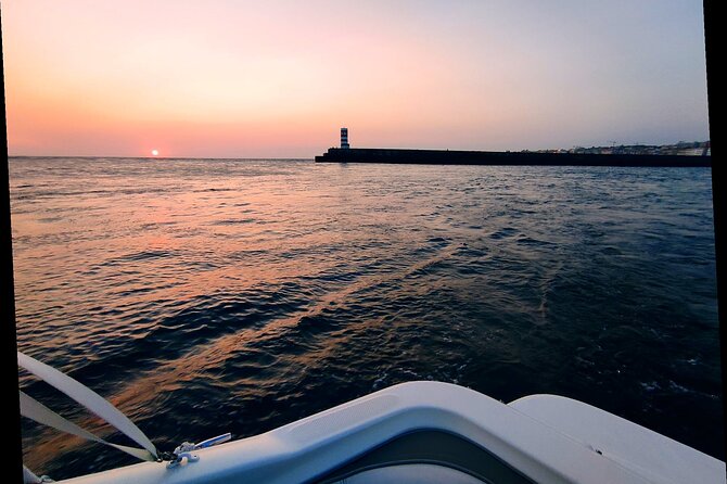 Porto: Private Tour to D. Luís Bridge (1h), group price up to 6px - What Makes This Tour Stand Out?