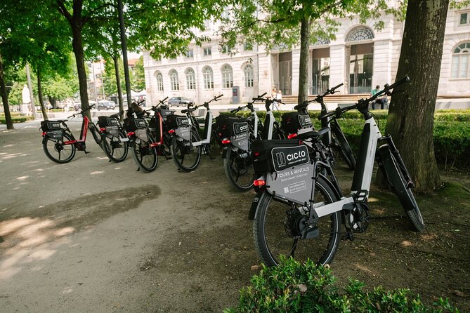 Porto Riverbank E-Bike Tour - Atlantic Coast, Gardens - Crossing the Arrábida Bridge for Architectural Marvels