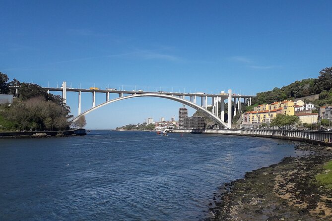 Porto Riverbank E-Bike Tour - Atlantic Coast, Gardens - Atlantic Ocean Views from Fortress São João da Foz