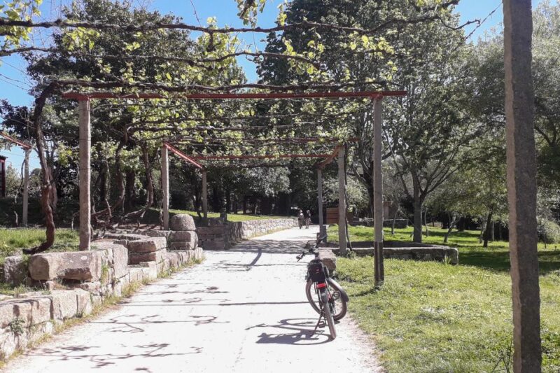 Porto Riverbank Tour on an e-bike: Atlantic Coast, Gardens - Visiting Porto’s Beautiful Parks and Gardens