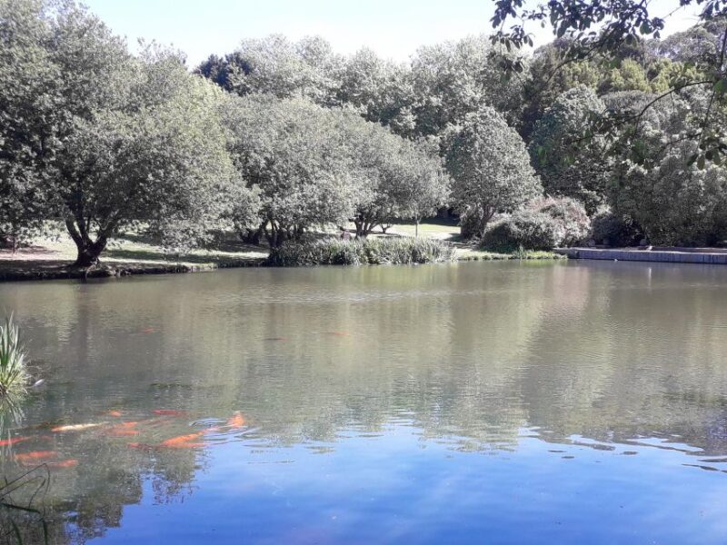 Porto Riverbank Tour on an e-bike: Atlantic Coast, Gardens - Discovering Porto’s Coastal Beaches and Historic Monuments