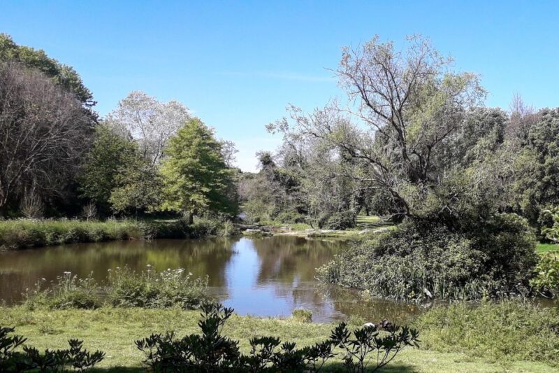 Porto Riverbank Tour on an e-bike: Atlantic Coast, Gardens - The Benefits of E-Biking in Porto’s Hilly Terrain