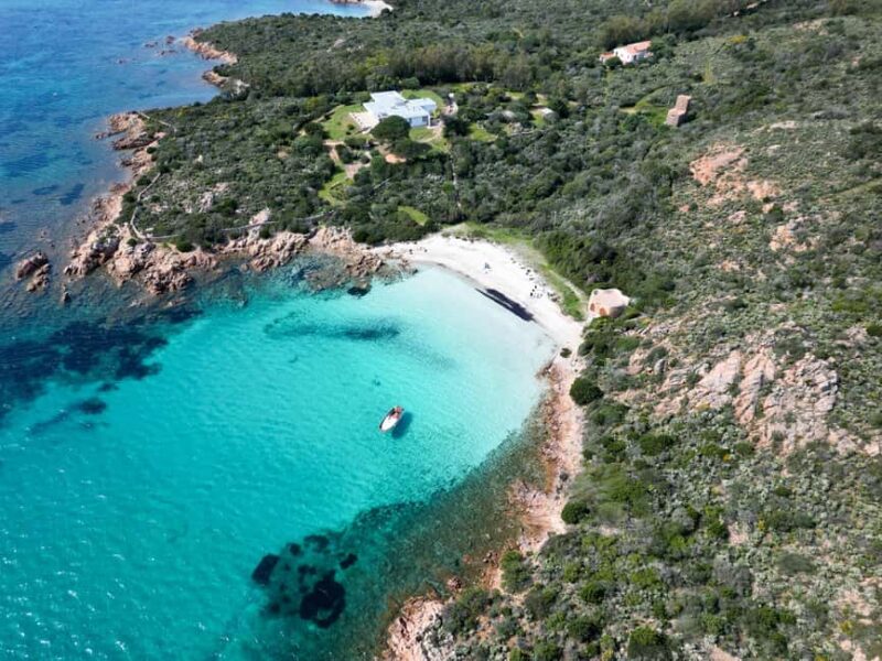 Porto San Paolo: Half Day Boat Tour to Tavolara and Molara - Practical Info: What to Bring and Booking Options