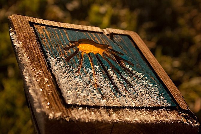 Porto: Santiago de Compostela and Valença do Minho Day Trip - Free Time and Lunch in Santiago de Compostela’s Historic District