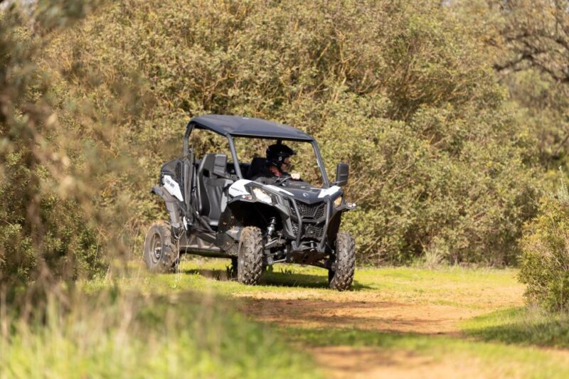 Porto Santo: 180 Minutes Off-Road Buggy Tour - Pass Through Porto Santo’s Dunes and Mountain Peaks