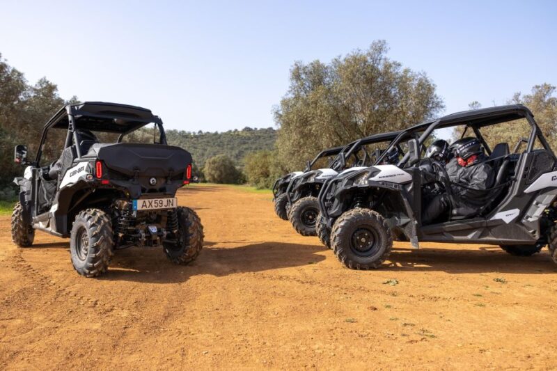 Porto Santo: 180 Minutes Off-Road Buggy Tour - The Buggies: Comfortable, Safe, and Suitable for Two or Four People