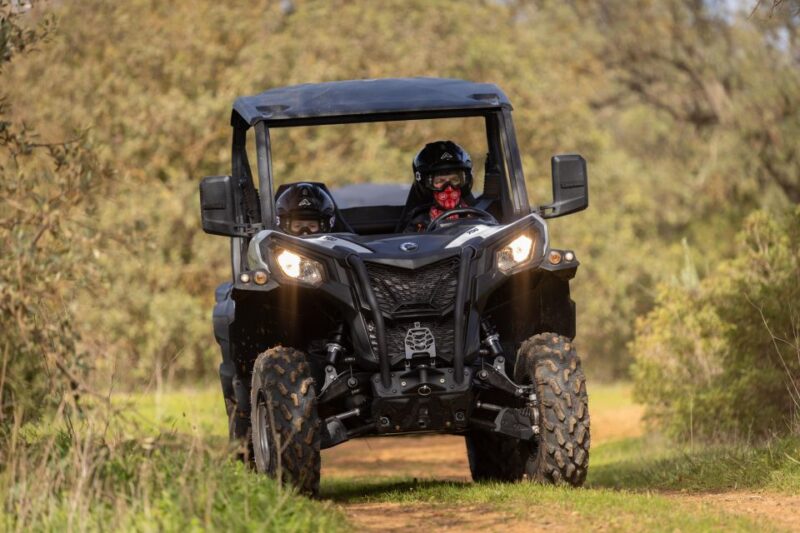 Porto Santo: 180 Minutes Off-Road Buggy Tour - Who Will Appreciate This Tour Most?