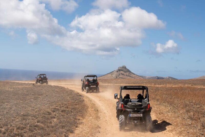 Porto Santo: 90 Minutes Off-Road Buggy Tour - Who Will Enjoy This Adventure Most