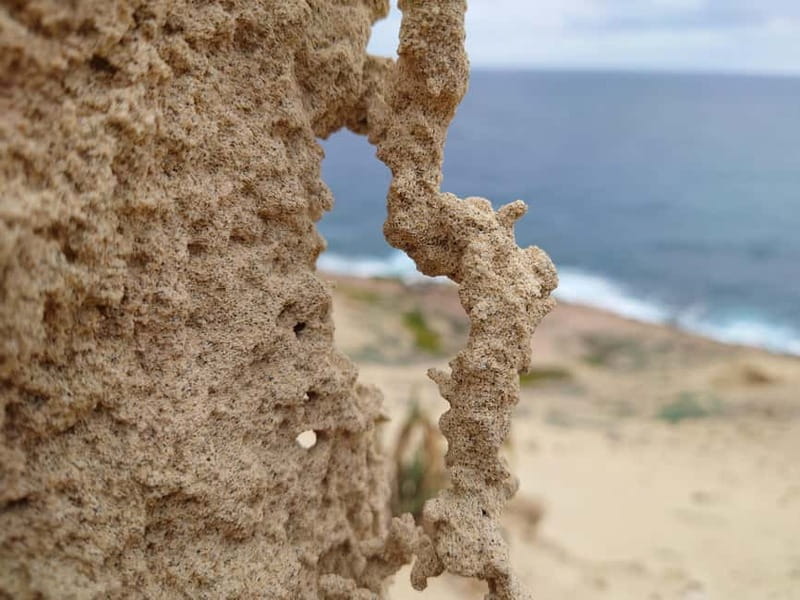 Porto Santo: Island Highlights 4x4 Tour with Hotel Transfers - Who Will Love This Porto Santo 4x4 Tour?