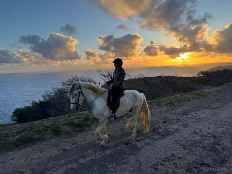 Porto Santo Island: Horse Riding - Discover Porto Santo Island Through Horseback Riding