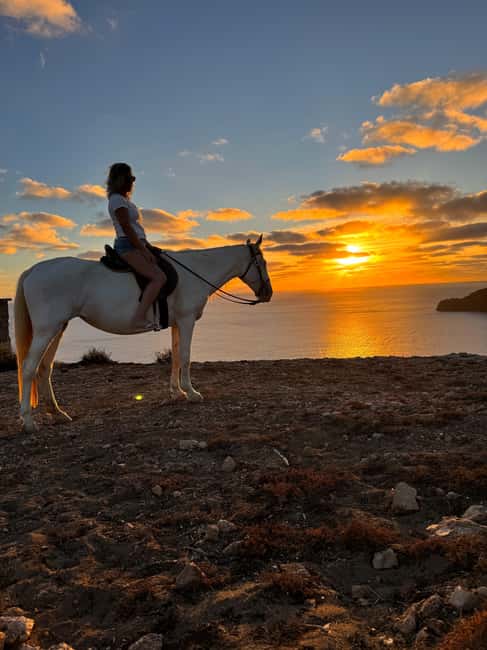Porto Santo Island: Horse Riding - What to Expect During the Ride