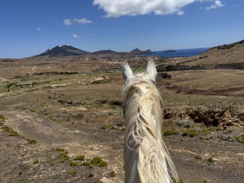 Porto Santo Island: Horse Riding - Accessibility and Physical Requirements