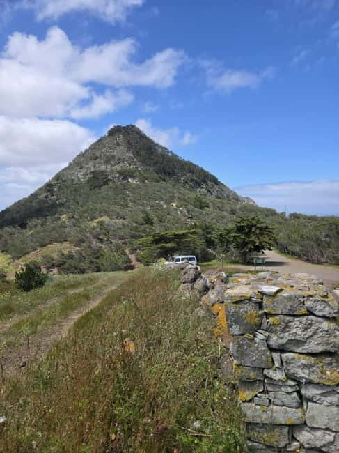 Porto Santo Island: Pico do Facho Panoramic Trail - Exploring Porto Santo’s Unique Flora on the Trail