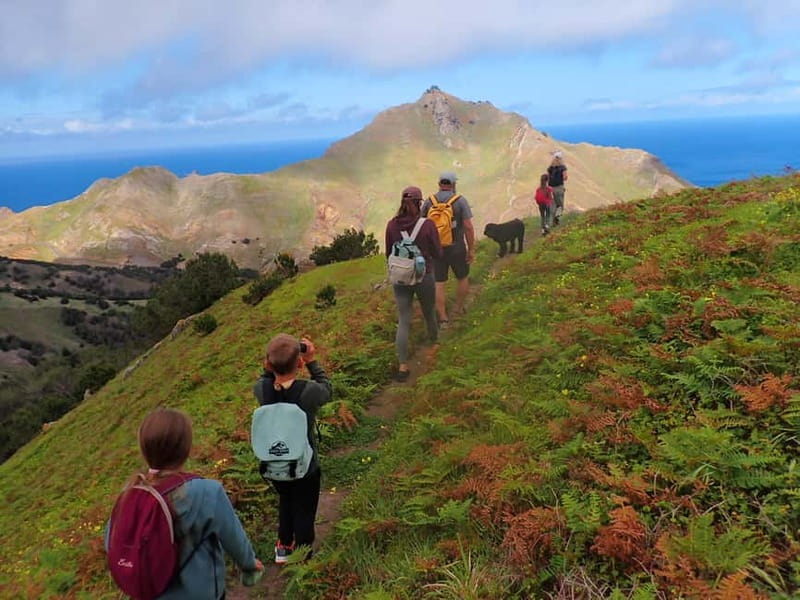 Porto Santo Island: Pico do Facho Panoramic Trail - Practical Details: Logistics and Group Experience