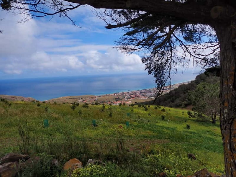 Porto Santo Island: Pico do Facho Panoramic Trail - The Experience Provider: Porto Santo Tours