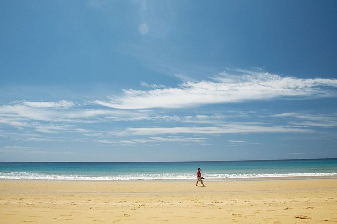 Porto Santo One-Day Cruise and Tour - Unique Features That Set This Tour Apart