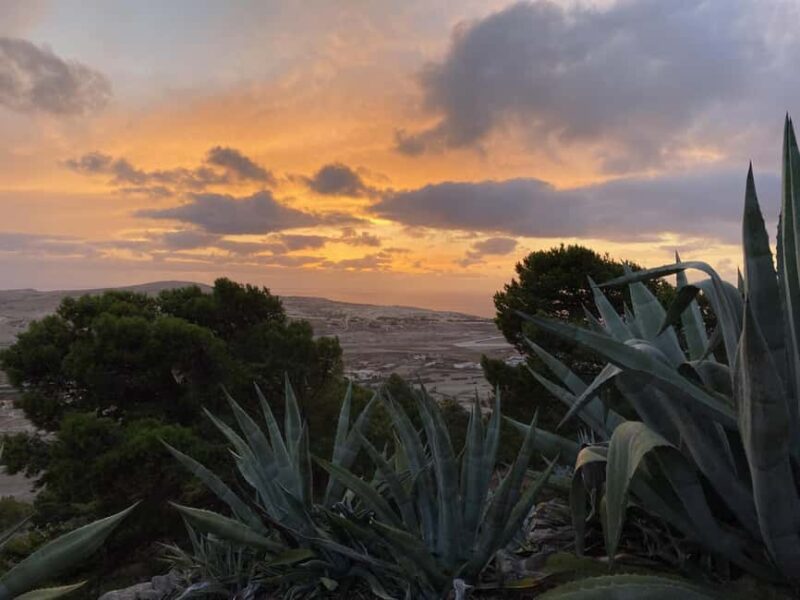 Porto Santo, Photographic whole island tour - The Sum Up: A Scenic, Personalised Porto Santo Tour