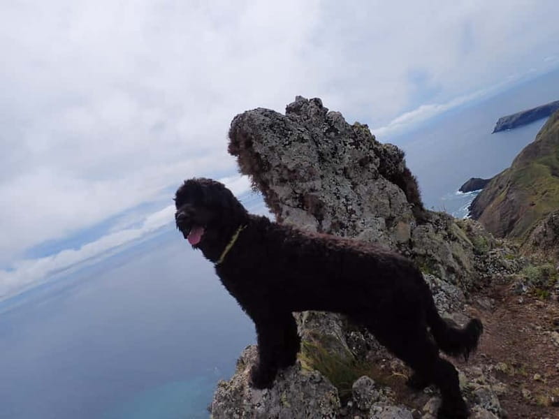 Porto Santo: Terra Chã and Pico Branco Hiking tour - From the Clifftops to the Green Plateau: The Route Details