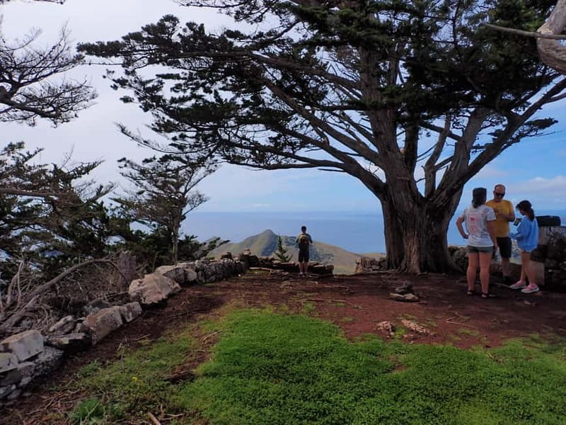 Porto Santo: Terra Chã and Pico Branco Hiking tour - Practical Details: Group Size, Languages, and Booking Flexibility