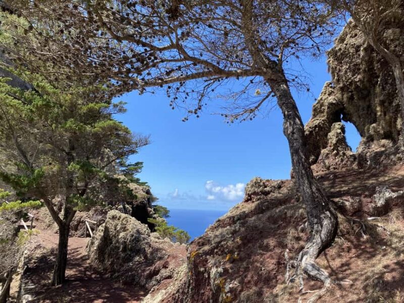 Porto Santo - UNESCO Biosphere Reserve - Guided Walking Tour - Who Will Appreciate This Tour Most?