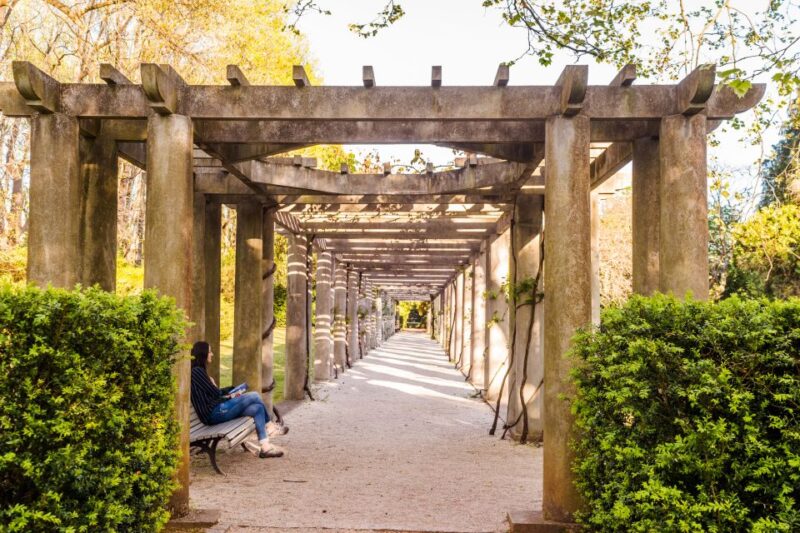 Porto: Serralves Foundation All Access Pass - The 18-Hectare Serralves Park and Its Unique Treetop Walk