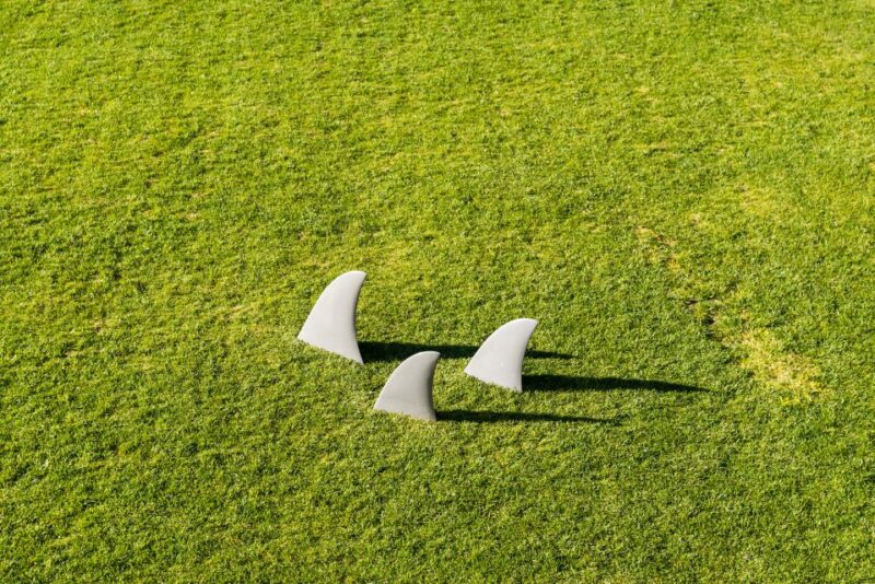 Porto: Serralves Foundation All Access Pass - Final Thoughts on the Porto: Serralves Foundation All Access Pass