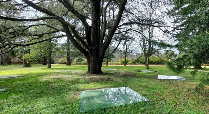 Porto: Serralves Gardens Art and Architecture Walking Tour - Connecting Art, Architecture, and Nature in the Gardens