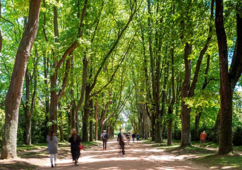 Porto: Serralves Park Entry Ticket - Final Thoughts on the Serralves Park Entry Experience