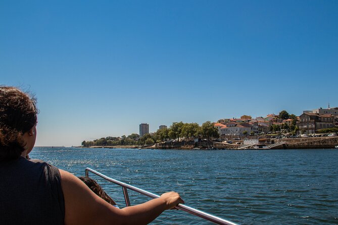 Porto Six Bridges Panoramic Cruise on the Douro River - Viewing Porto and Gaia from the Douro River