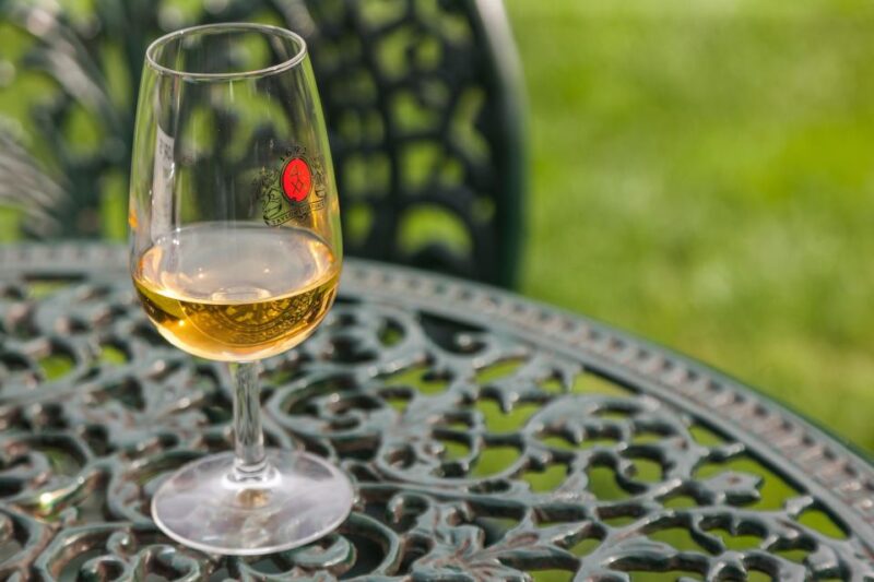 Porto: Taylors Port Cellar Tour & WOW Museum Pack - Explore Porto’s Wine Heritage and Cultural Wealth in One Tour