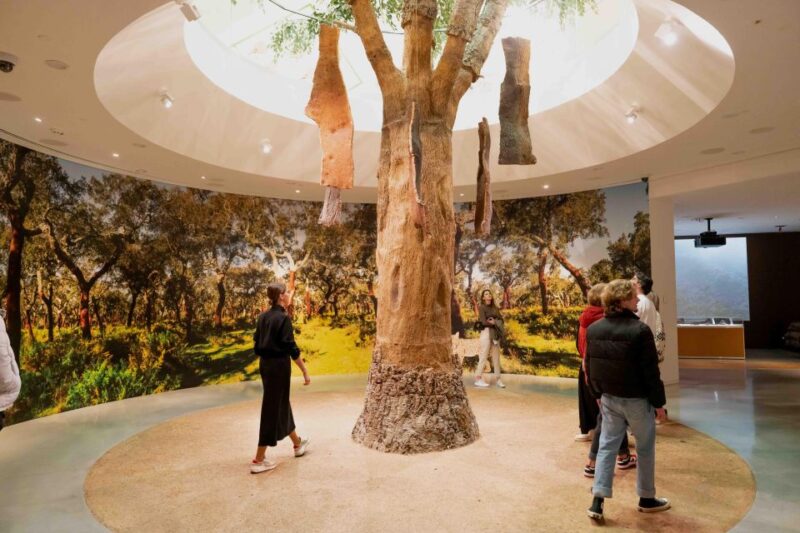 Porto: Taylors Port Cellar Tour & WOW Museum Pack - Who Will Get the Most Out of This Experience