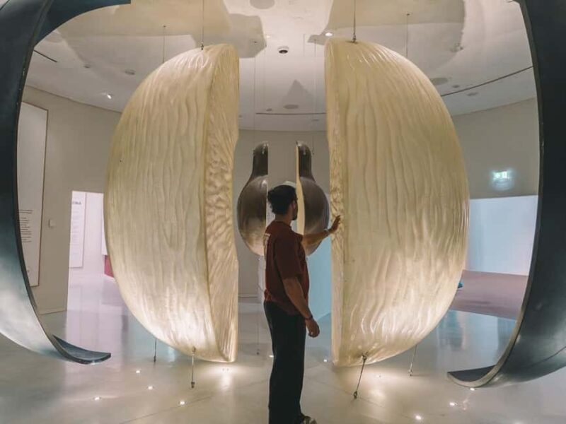 Porto: Taylors Port Cellar Tour & WOW The Wine Experience - Discover Porto’s Wine Heritage with the Taylors Port Cellar Tour & WOW Experience